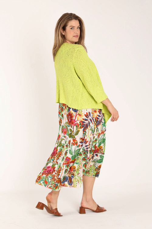 Anis / 44/46-Paprika-1